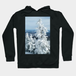 View From Mt. Killington Hoodie